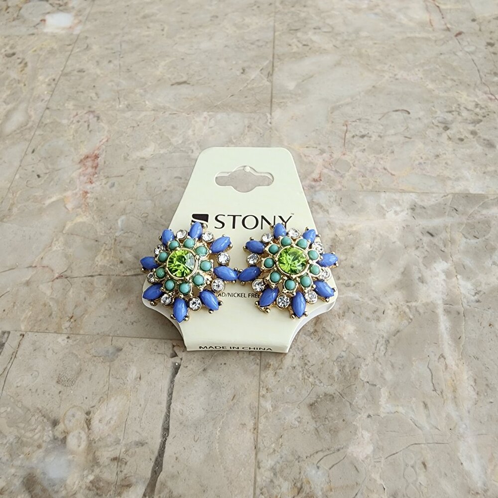 Stony  Multi-Colored Button Earrings